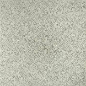 Spontaneity Silver by Kasmir Designer Fabric 5100 100% Polyester INDIA 30,000 Wyzenbeek Double Rubs H: N/A, V: N/A 54 - 55 - Swanky Fabrics - Kasmir