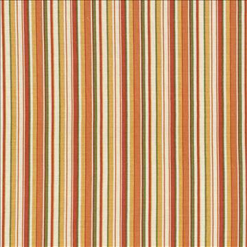 Spring Stripe Apricot by Kasmir Designer Fabric 5017 100% Cotton PAKISTAN 15,000 Wyzenbeek Double Rubs H: 5 inches, V: N/A 54 - 55 - Swanky Fabrics - Kasmir
