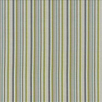 Spring Stripe Pebble Beach by Kasmir Designer Fabric 5065 100% Cotton PAKISTAN 15,000 Wyzenbeek Double Rubs H: 5 inches, V: N/A 54 - 55 - Swanky Fabrics - Kasmir