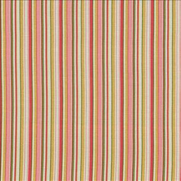 Spring Stripe Peony by Kasmir Designer Fabric 5064 100% Cotton PAKISTAN 15,000 Wyzenbeek Double Rubs H: 5 inches, V: N/A 54 - 55 - Swanky Fabrics - Kasmir