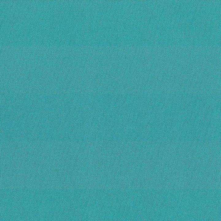 St Dupont Lagoon Blue  by Kasmir Designer Fabric 5045 54% Cotton
46% Polyester
 INDIA 23,000 Wyzenbeek Double Rubs Horizontal: N/A and Vertical: N/A 54  - Swanky Fabrics -