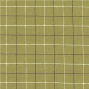 Steinbeck Check Palm by Kasmir Designer Fabric