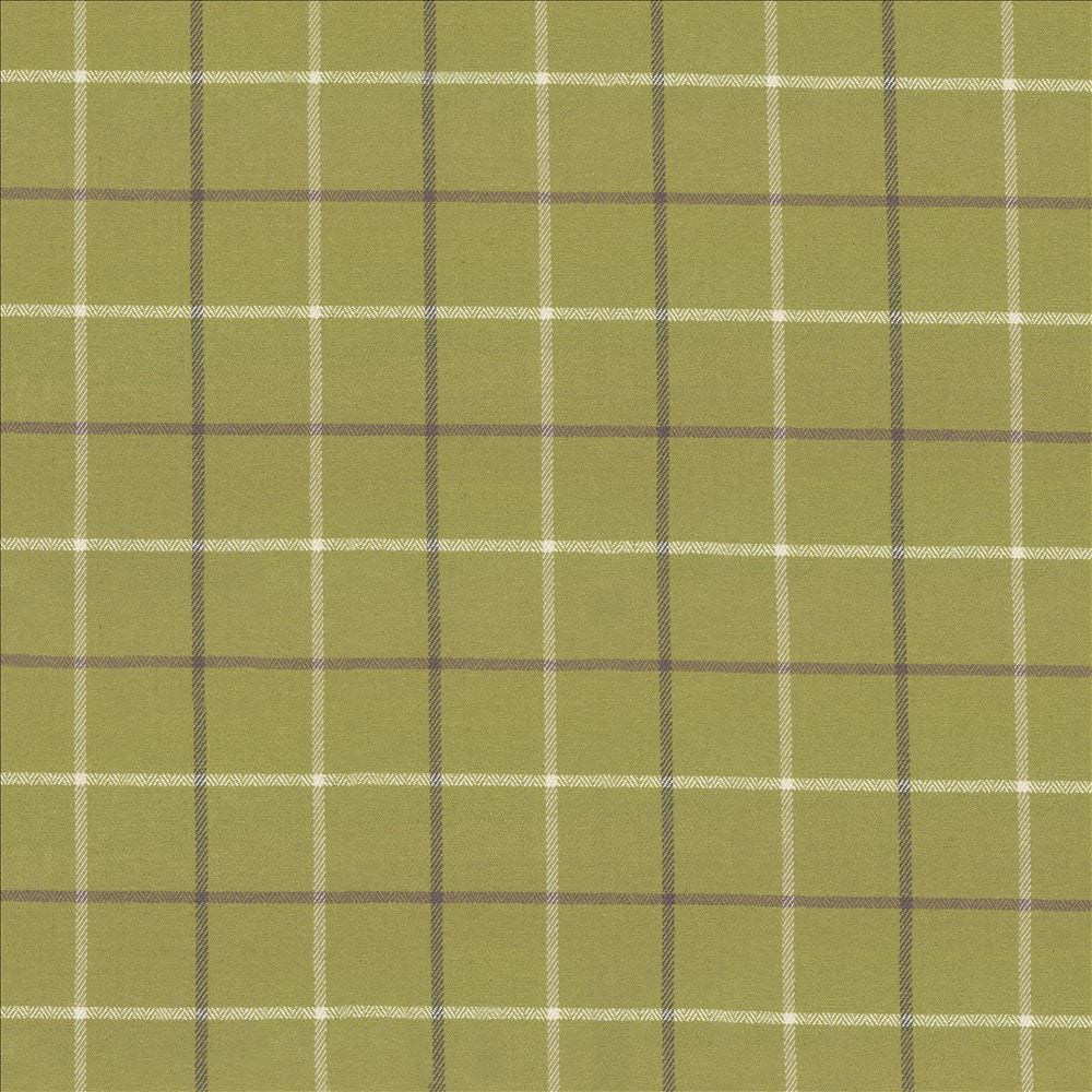 Steinbeck Check Palm by Kasmir Designer Fabric 1446 50% Polyester 50% Viscose CHINA 68,000 Martindale Cycles Horizontal: 5 inches and Vertical: 5 inches 57 - Swanky Fabrics -