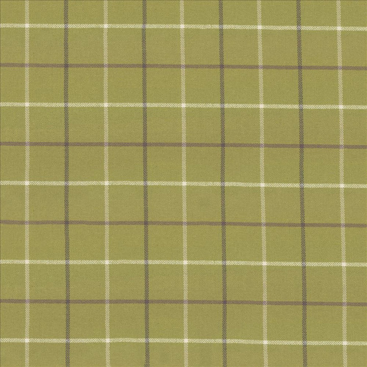 Steinbeck Check Palm by Kasmir Designer Fabric See sample 50% Polyester
50% Viscose
 CHINA 68,000 Martindale Cycles </p><p>Repeat: Horizontal: 5 inches and Vertical: 5 inches 57 - Swanky Fabrics -