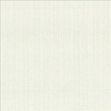 Straight Talk Off White by Kasmir Designer Fabric 5035 50% Cotton 50% Linen INDIA Not Tested H: 4 6/8 inches, V: N/A 54 - 55 - Swanky Fabrics - Kasmir