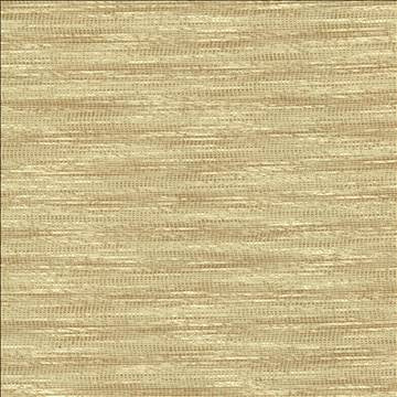 Striated Beige by Kasmir Designer Fabric 5120 68% Polyester 18% Cotton 14% Viscose INDIA 50,000 Wyzenbeek Double Rubs H: N/A, V: N/A 54 - Swanky Fabrics - Kasmir