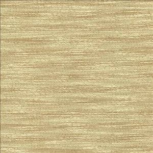 Striated Beige by Kasmir Designer Fabric