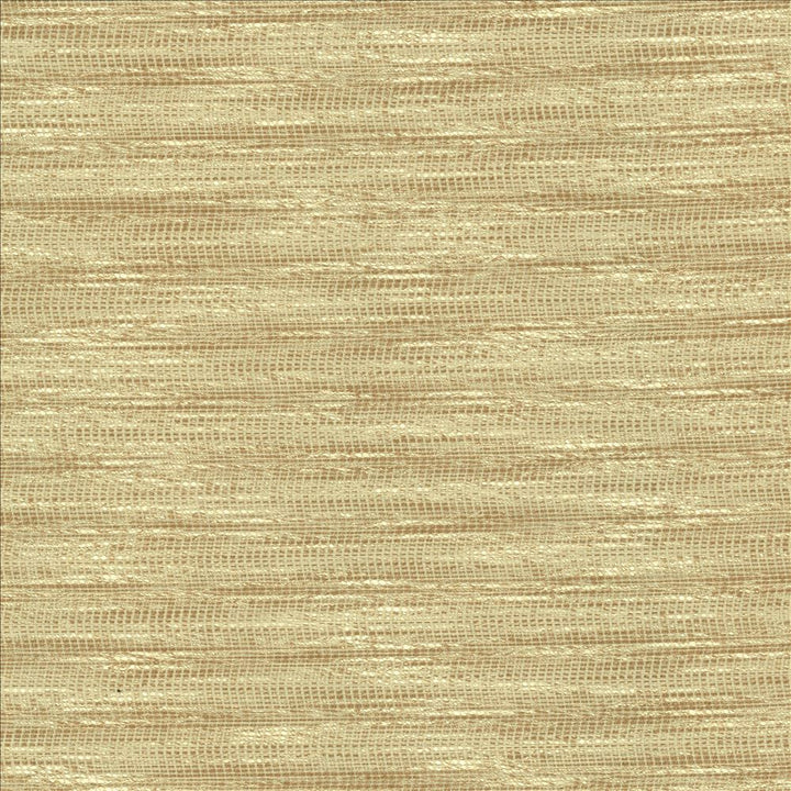 Striated Beige  by Kasmir Designer Fabric 5120 68% Polyester
18% Cotton
14% Viscose
 INDIA 50,000 Wyzenbeek Double Rubs Horizontal: N/A and Vertical: N/A 54  - Swanky Fabrics -