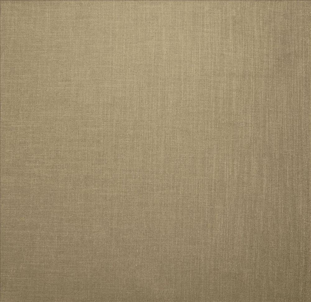 Subtle Chic Barley by Kasmir Designer Fabric 5160 100% Polyester
 INDIA 50,000 Wyzenbeek Double Rubs </p><p>Repeat: Horizontal: N/A and Vertical: N/A 54 - Swanky Fabrics -