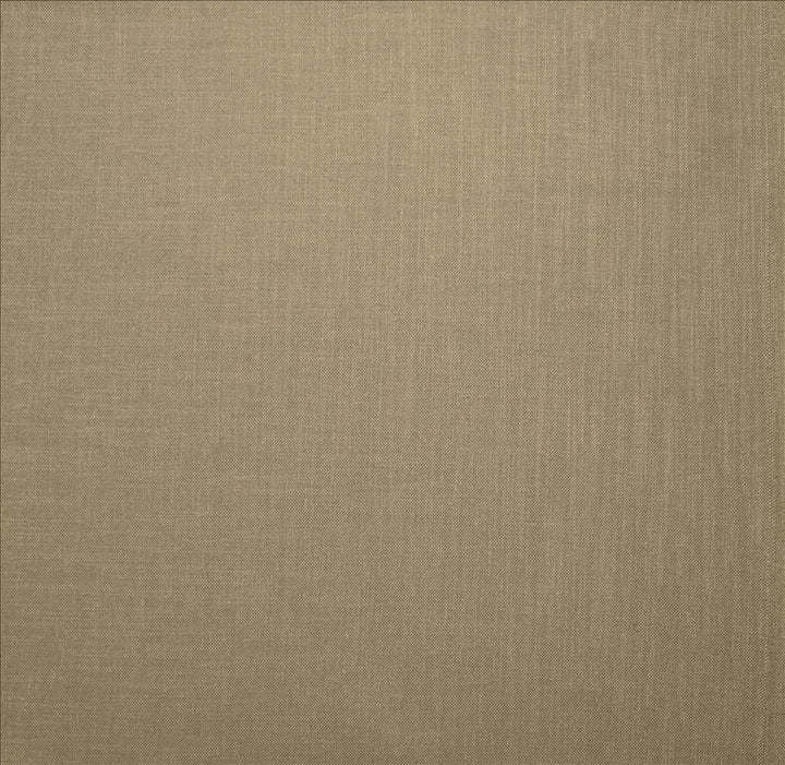 Subtle Chic Barley by Kasmir Designer Fabric 5160 100% Polyester INDIA 50,000 Wyzenbeek Double Rubs Horizontal: 0 Inches and Vertical: 0 Inches 54 - 57 - Swanky Fabrics -