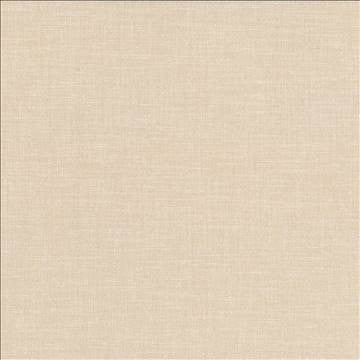 Subtle Chic Chino by Kasmir Designer Fabric 5040 100% Polyester INDIA 50,000 Wyzenbeek Double Rubs H: N/A, V: N/A 55 - 57 - Swanky Fabrics - Kasmir