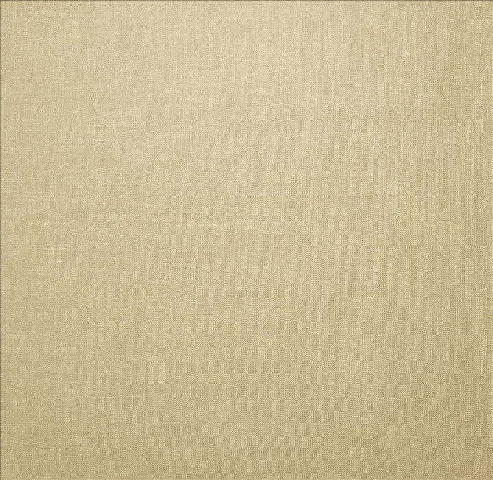 Subtle Chic Cream by Kasmir Designer Fabric 5160 100% Polyester INDIA 50,000 Wyzenbeek Double Rubs Horizontal: 0 Inches and Vertical: 0 Inches 54 - 57 - Swanky Fabrics -