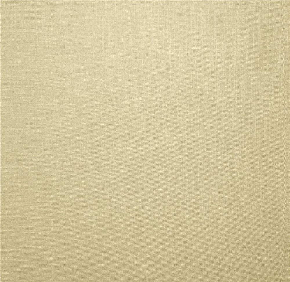 Subtle Chic Cream by Kasmir Designer Fabric 5040 100% Polyester
 INDIA 50,000 Wyzenbeek Double Rubs </p><p>Repeat: Horizontal: N/A and Vertical: N/A 54 - Swanky Fabrics -