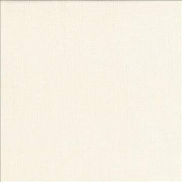 Subtle Chic Cream by Kasmir Designer Fabric 5040 100% Polyester INDIA 50,000 Wyzenbeek Double Rubs H: N/A, V: N/A 55 - 57 - Swanky Fabrics - Kasmir