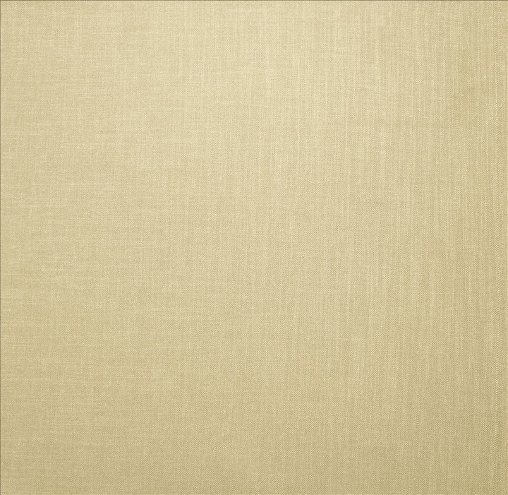 Subtle Chic Cream by Kasmir Designer Fabric 5160 100% Polyester
 INDIA 50,000 Wyzenbeek Double Rubs </p><p>Repeat: Horizontal: N/A and Vertical: N/A 54 - Swanky Fabrics -