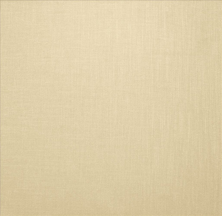 Subtle Chic Cream by Kasmir Designer Fabric 5160 100% Polyester
 INDIA </p><p>Repeat: Horizontal: N/A and Vertical: N/A 54 - 57 - Swanky Fabrics -