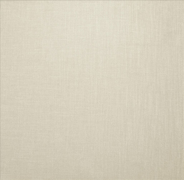 Subtle Chic Natural by Kasmir Designer Fabric 5160 100% Polyester INDIA 50,000 Wyzenbeek Double Rubs Horizontal: 0 Inches and Vertical: 0 Inches 54 - 57 - Swanky Fabrics -