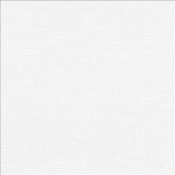 Subtle Chic Natural by Kasmir Designer Fabric 5040 100% Polyester INDIA 50,000 Wyzenbeek Double Rubs H: N/A, V: N/A 55 - 57 - Swanky Fabrics - Kasmir