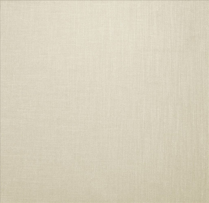 Subtle Chic Optic by Kasmir Designer Fabric 5160 100% Polyester INDIA 50,000 Wyzenbeek Double Rubs Horizontal: 0 Inches and Vertical: 0 Inches 54 - 57 - Swanky Fabrics -