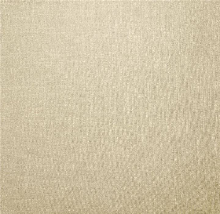 Subtle Chic Pearl by Kasmir Designer Fabric See sample 100% Polyester
 INDIA 50,000 Wyzenbeek Double Rubs </p><p>Repeat: Horizontal: N/A and Vertical: N/A 54 - Swanky Fabrics -