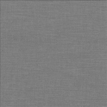 Subtle Chic Pewter by Kasmir Designer Fabric 5040 100% Polyester INDIA 50,000 Wyzenbeek Double Rubs H: N/A, V: N/A 55 - 57 - Swanky Fabrics - Kasmir