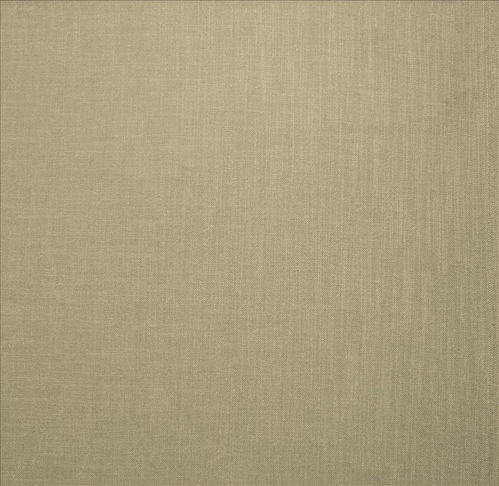 Subtle Chic Silver by Kasmir Designer Fabric 5040 100% Polyester
 INDIA </p><p>Repeat: Horizontal: N/A and Vertical: N/A 54 - 57 - Swanky Fabrics -