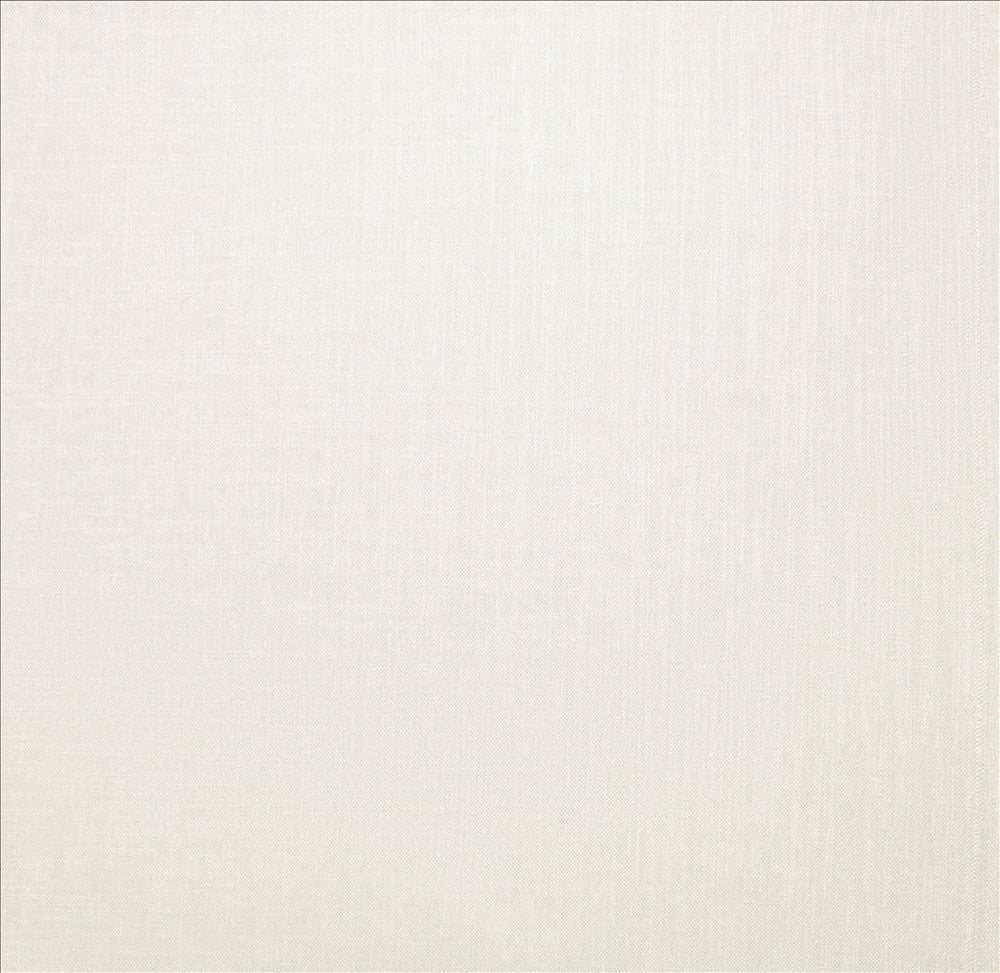 Subtle Chic White  by Kasmir Designer Fabric 5160 100% Polyester
 INDIA 50,000 Wyzenbeek Double Rubs Horizontal: N/A and Vertical: N/A 54  - Swanky Fabrics -