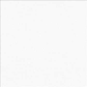 Subtle Chic White by Kasmir Designer Fabric 5040 100% Polyester INDIA 50,000 Wyzenbeek Double Rubs H: N/A, V: N/A 55 - 57 - Swanky Fabrics - Kasmir