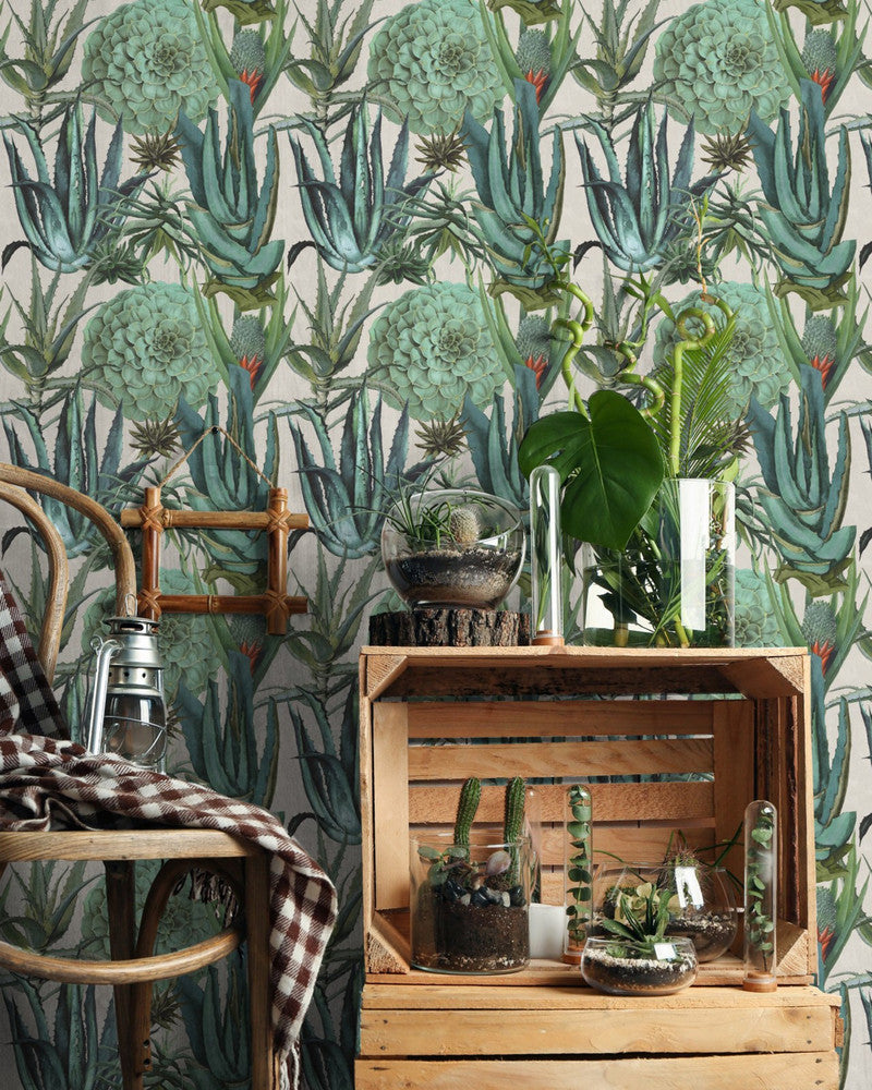Succulentus Wallpaper by Mind the Gap Designer Wallpaper PREMIUM DESIGNER WALLPAPER COLLECTION Non-woven Made in Europe Paste the wall 3 rolls x 20.5 x 3.25 yards - Swanky Fabrics -