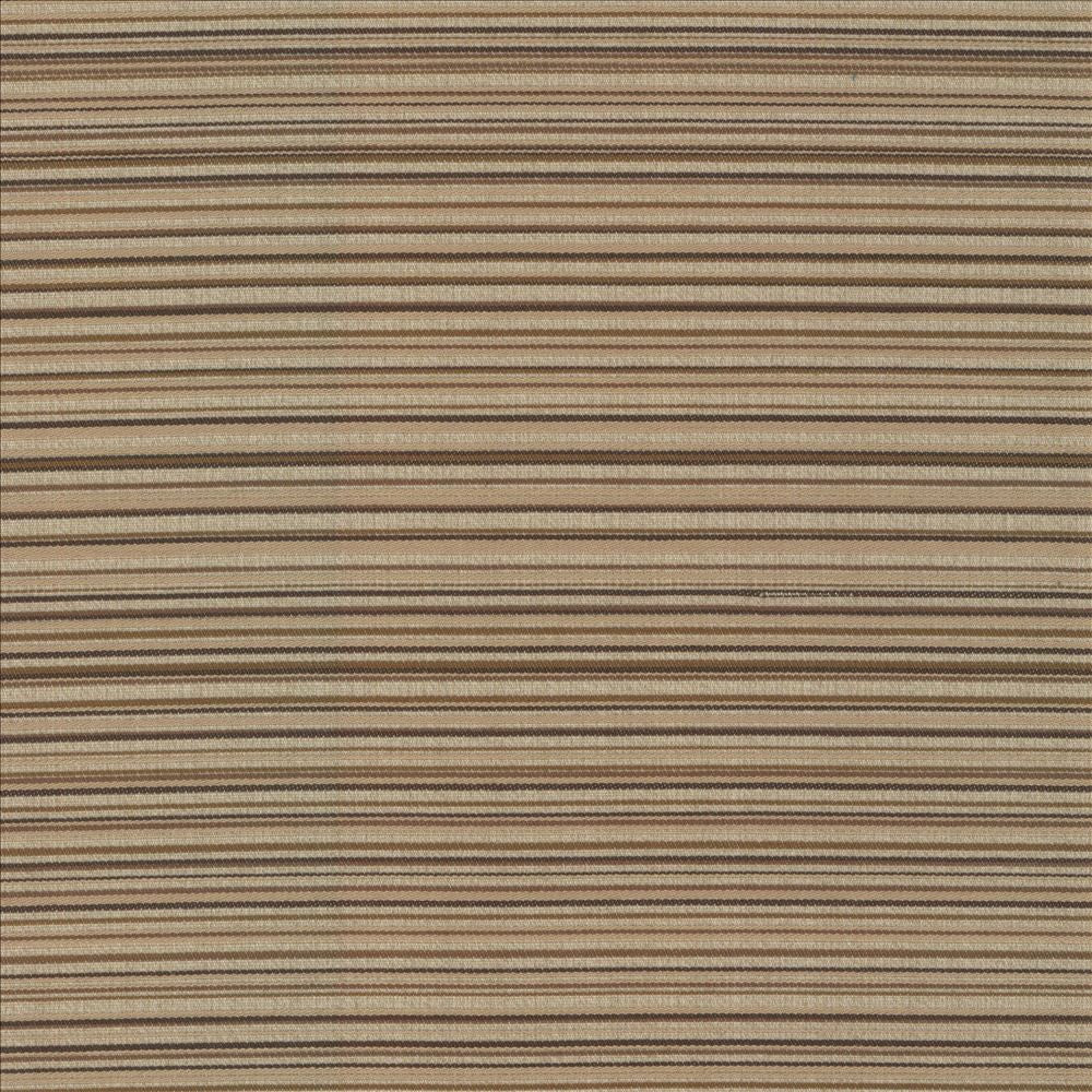 Sunset Boulevard Latte by Kasmir Designer Fabric 5083 55% Polyester
45% Rayon
 CHINA </p><p>Repeat: Horizontal: N/A and Vertical: 5 4/8 inches 55 - Swanky Fabrics -