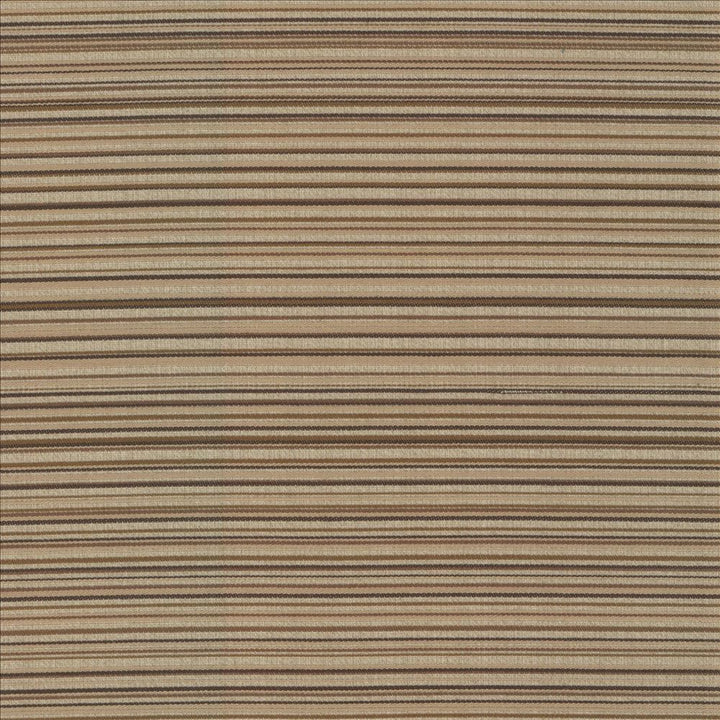 Sunset Boulevard Latte by Kasmir Designer Fabric 5083 55% Polyester
45% Rayon
 CHINA </p><p>Repeat: Horizontal: N/A and Vertical: 5 4/8 inches 55 - Swanky Fabrics -