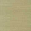 WHITNEY DAMASK Gold T4116 by Thibaut Designer Wallpaper