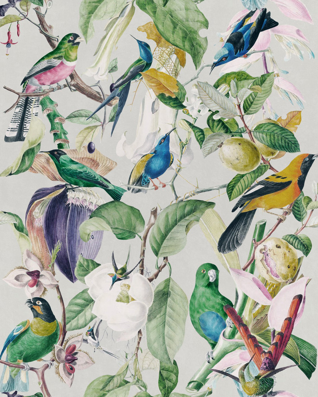 Tropical Birds wallpaper by Mind the Gap (WP20172), swatch