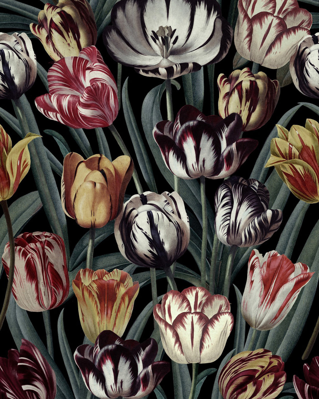 Tulipa Dark wallpaper by Mind the Gap (WP20177), swatch