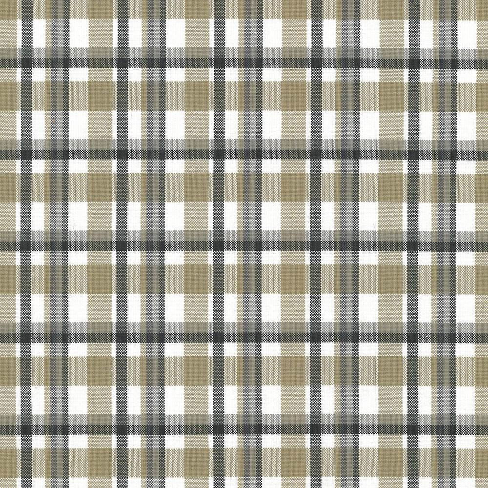 Tamron Plaid Sandstone by Kasmir Designer Fabric 5067 100% Cotton
 INDIA 30,000 Wyzenbeek Double Rubs </p><p>Repeat: Horizontal: 2 inches and Vertical: 2 inches 54 - Swanky Fabrics -