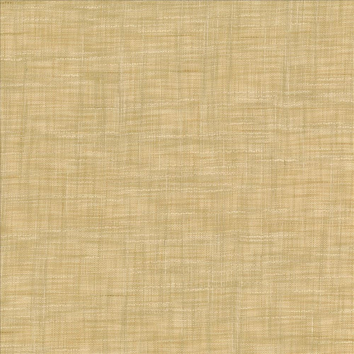 Tao Texture Rice by Kasmir Designer Fabric 5181 100% Polyester
 INDIA Not Tested </p><p>Repeat: Horizontal: N/A and Vertical: N/A 54 - Swanky Fabrics -
