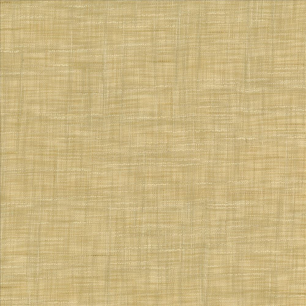 Tao Texture Rice by Kasmir Designer Fabric 5139 100% Polyester INDIA Not Tested Horizontal: 0 Inches and Vertical: 0 Inches 54 - Swanky Fabrics -