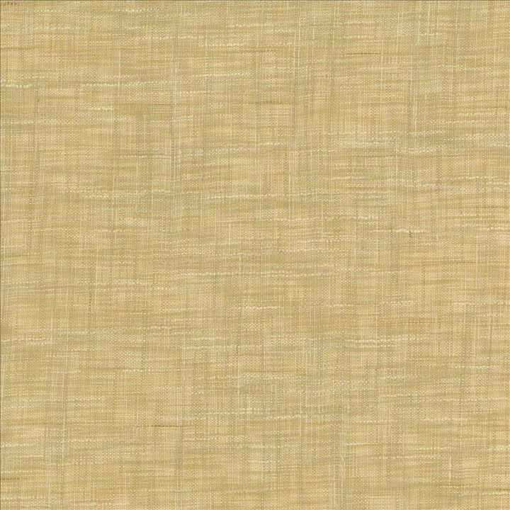 Tao Texture Rice by Kasmir Designer Fabric 5139 100% Polyester INDIA Not Tested Horizontal: 0 Inches and Vertical: 0 Inches 54 - Swanky Fabrics -
