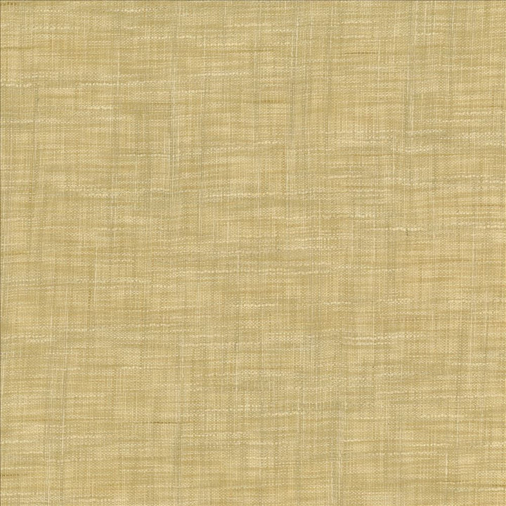 Tao Texture Rice by Kasmir Designer Fabric 5061 100% Polyester
 INDIA </p><p>Repeat: Horizontal: N/A and Vertical: N/A 54 - Swanky Fabrics -