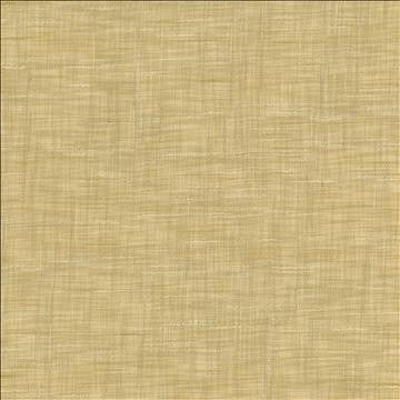 Tao Texture Rice by Kasmir Designer Fabric 5061 100% Polyester INDIA Not Tested H: N/A, V: N/A 54 - Swanky Fabrics - Kasmir