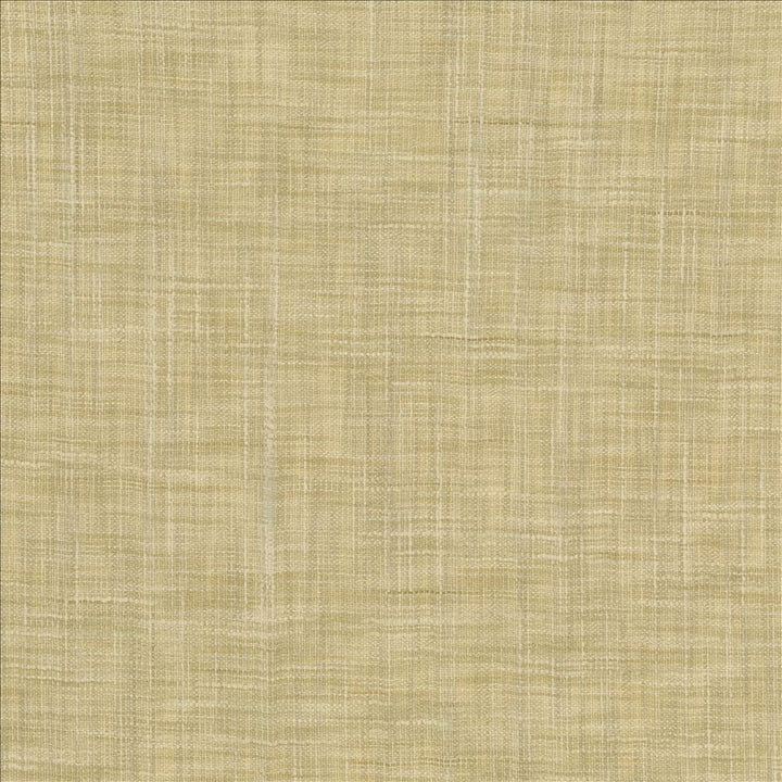 Tao Texture Tea Stain by Kasmir Designer Fabric 5139 100% Polyester
 INDIA </p><p>Repeat: Horizontal: N/A and Vertical: N/A 54 - Swanky Fabrics -