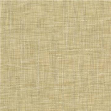 Tao Texture Tea Stain by Kasmir Designer Fabric 5061 100% Polyester INDIA Not Tested H: N/A, V: N/A 54 - Swanky Fabrics - Kasmir