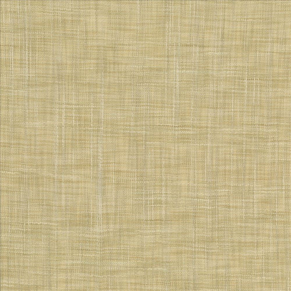 Tao Texture Tea Stain by Kasmir Designer Fabric 5061 100% Polyester INDIA Not Tested Horizontal: 0 Inches and Vertical: 0 Inches 54 - Swanky Fabrics -