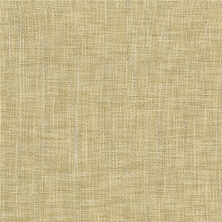 Tao Texture Tea Stain by Kasmir Designer Fabric 5139 100% Polyester
 INDIA Not Tested </p><p>Repeat: Horizontal: N/A and Vertical: N/A 54 - Swanky Fabrics -