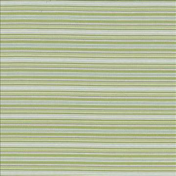 Tatiana Stripe Aspen by Kasmir Designer Fabric 5074 100% Cotton, Organic USA 15,000 Wyzenbeek Double Rubs H: N/A, V: 4 inches 54 - 56 - Swanky Fabrics - Kasmir