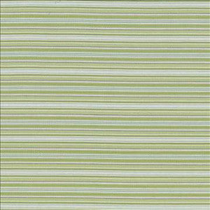 Tatiana Stripe Aspen by Kasmir Designer Fabric