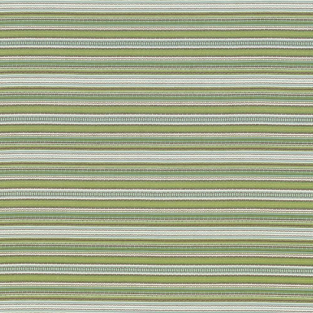 Tatiana Stripe Key Lime  by Kasmir Designer Fabric 5074 100% Cotton, Organic
 USA 15,000 Wyzenbeek Double Rubs Horizontal: N/A and Vertical: 4 inches 54  - Swanky Fabrics -