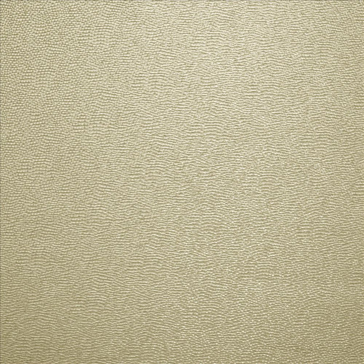 Textured Dot Dove Grey  by Kasmir Designer Fabric 5141 100% Polyester
 CHINA 15,000 Wyzenbeek Double Rubs Horizontal: N/A and Vertical: N/A 54  - Swanky Fabrics -