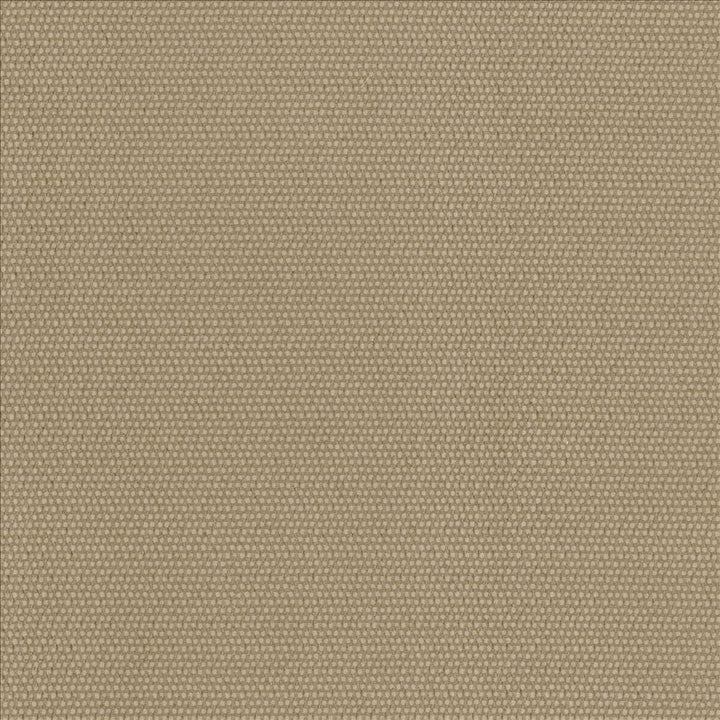 Thad Camel by Kasmir Designer Fabric See sample 100% Polyester
 CHINA 72,000 Wyzenbeek Double Rubs </p><p>Repeat: Horizontal: N/A and Vertical: N/A 55 - Swanky Fabrics -