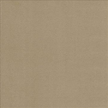 Thad Camel by Kasmir Designer Fabric 5093 100% Polyester CHINA 72,000 Wyzenbeek Double Rubs H: N/A, V: N/A 55 - Swanky Fabrics - Kasmir